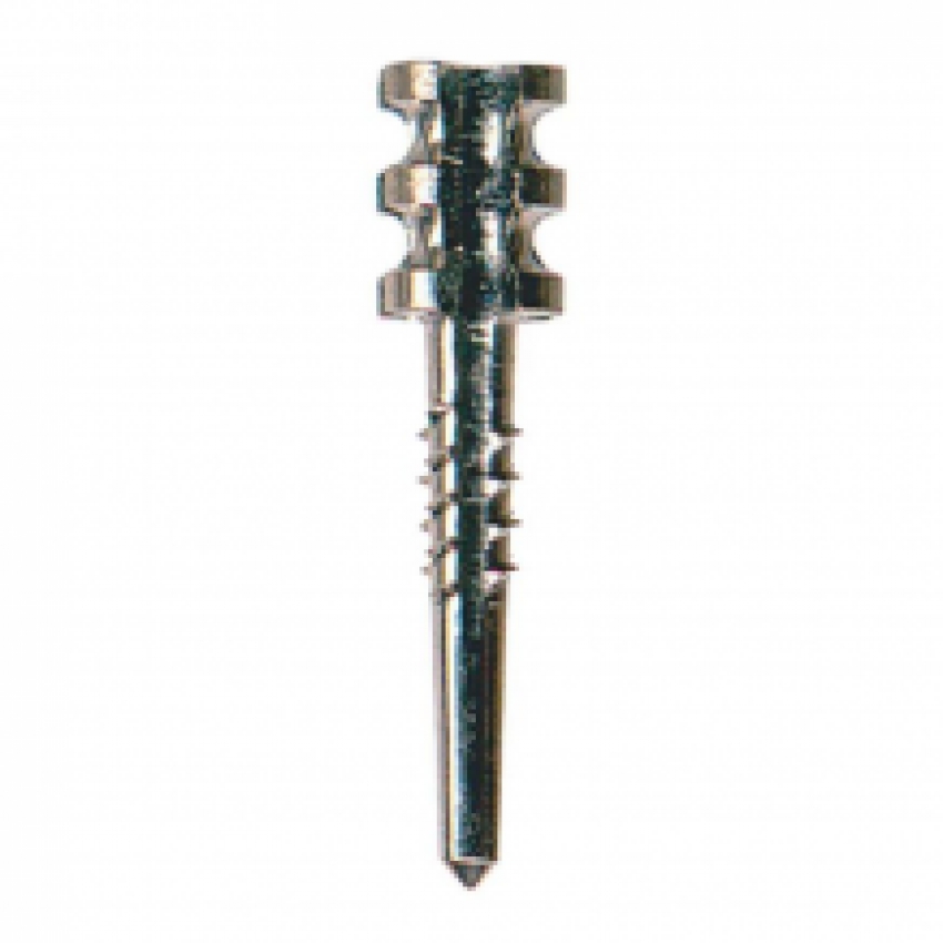 Perma-tex Stift actief petit blanc 5 pcs